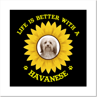 Havanese Lovers Posters and Art